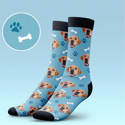 Classic Dog Socks