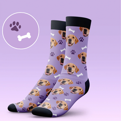 Classic Dog Socks