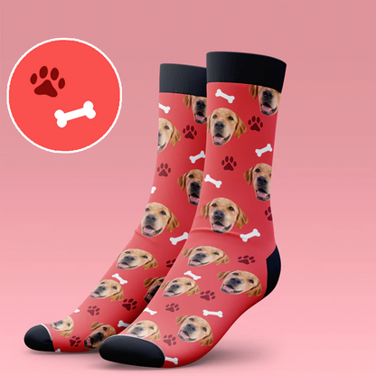 Classic Dog Socks