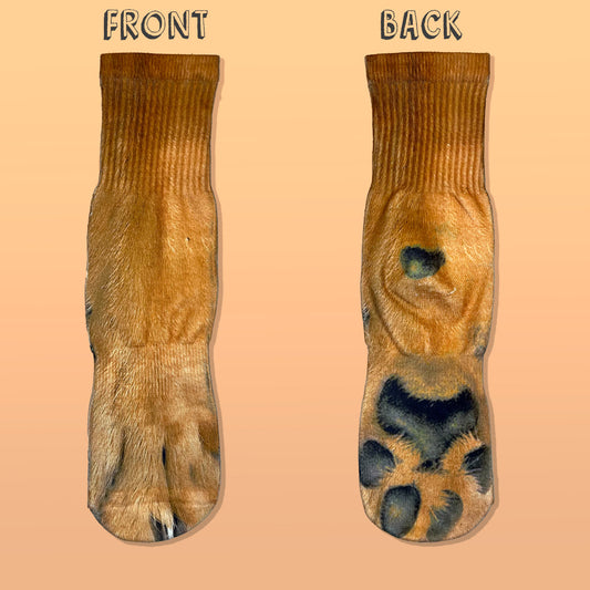 Brown Dog Paw Print Socks